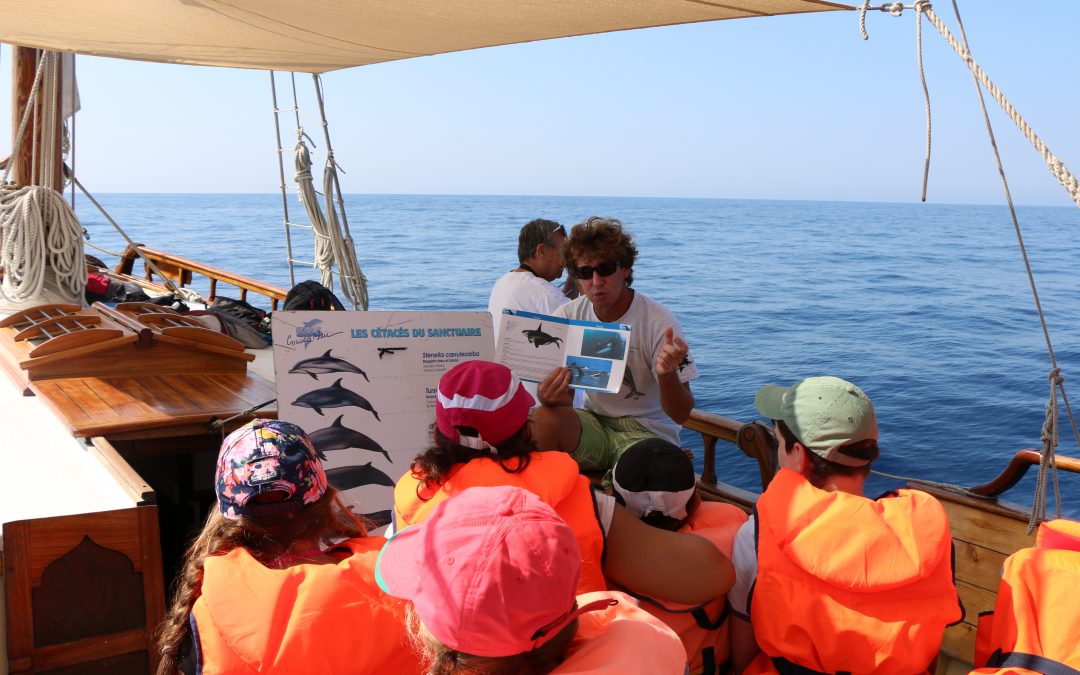 Classe de mer pour enfants par SOS Grand Bleu