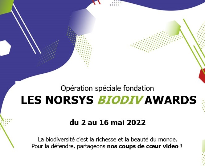 La fondation norsys lance les norsys BIODIV awards