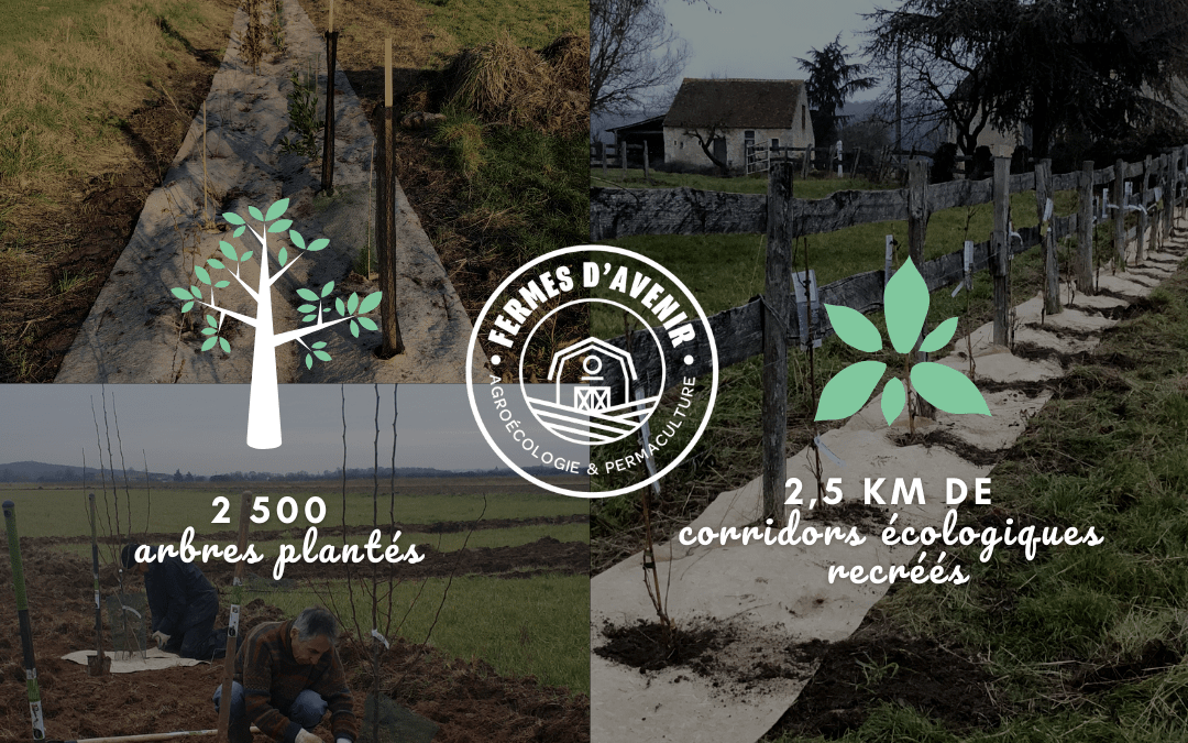 Avec Fermes d’avenir, la fondation norsys participe à remettre l’arbre au cœur du système agricole
